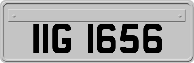 IIG1656