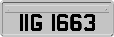 IIG1663