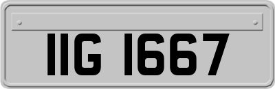 IIG1667