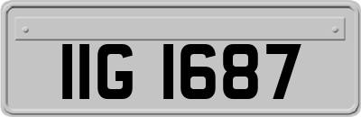 IIG1687
