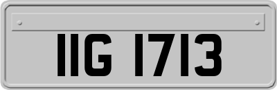 IIG1713