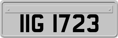 IIG1723