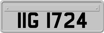 IIG1724