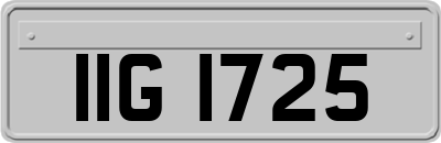 IIG1725