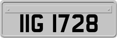 IIG1728