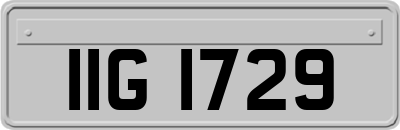 IIG1729