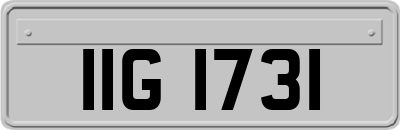 IIG1731
