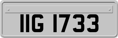 IIG1733