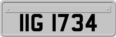 IIG1734
