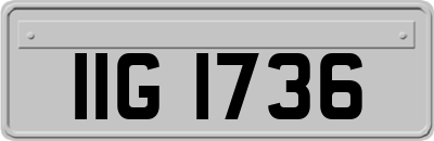 IIG1736