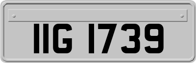 IIG1739