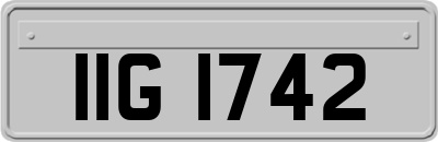IIG1742