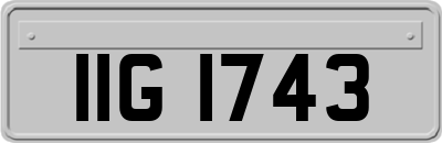 IIG1743