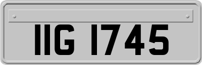 IIG1745