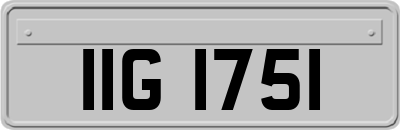 IIG1751