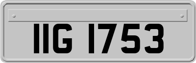 IIG1753
