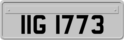 IIG1773