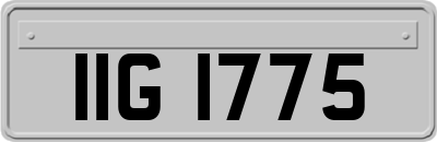 IIG1775
