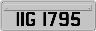IIG1795