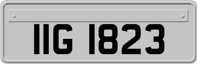 IIG1823