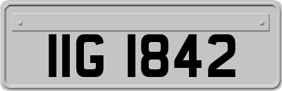 IIG1842