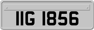 IIG1856