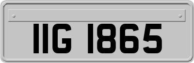 IIG1865