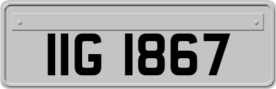 IIG1867