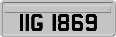 IIG1869