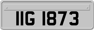IIG1873
