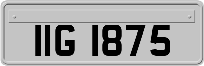 IIG1875