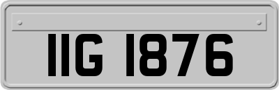 IIG1876