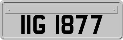 IIG1877
