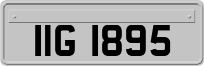 IIG1895