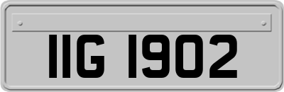 IIG1902