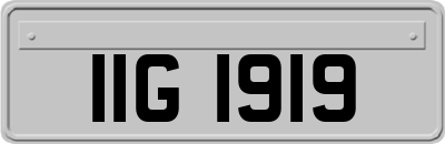 IIG1919