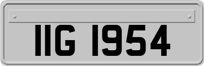IIG1954