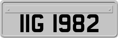 IIG1982