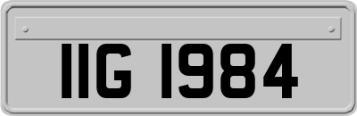 IIG1984