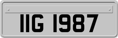 IIG1987