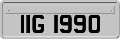 IIG1990