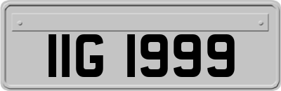 IIG1999