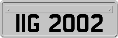 IIG2002