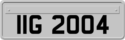IIG2004
