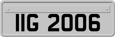 IIG2006