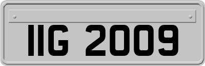 IIG2009