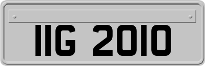 IIG2010