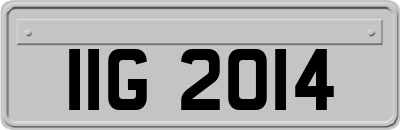 IIG2014