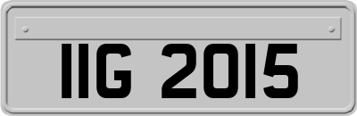 IIG2015