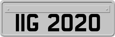 IIG2020